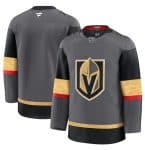 Vegas Golden Knights Blank Gray 2024-25 Alternate Stitched Jersey