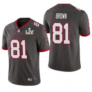 Tampa Bay Buccaneers #81 Antonio Brown Grey 2021 Super Bowl LV Limited Stitched Jersey