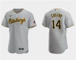 Pittsburgh Pirates #14 Rodolfo Castro Gray Flex Base Stitched Jersey