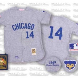 Mitchell And Ness Cubs #14 Ernie Banks Stitched Grey Throwback Jersey