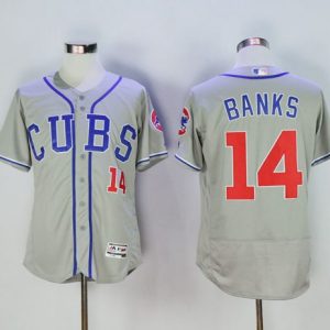 Cubs #14 Ernie Banks Grey Flexbase Authentic Collection Alternate Road Stitched Jersey