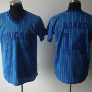 Cubs #14 Ernie Banks Blue White Strip Stitched Cooperstown Throwback Jersey