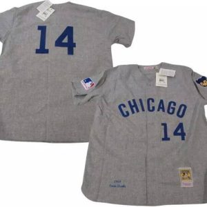 Chicago Cubs #14 Ernie Banks Gray 1969 Mitchell Ness Stitched Jersey