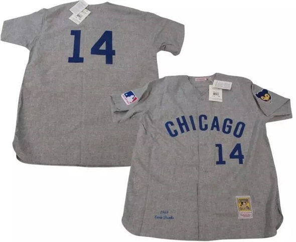 Chicago Cubs #14 Ernie Banks Gray 1969 Mitchell Ness Stitched Jersey