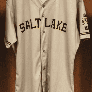 Salt Lake Bees Blank Brown Stitched Jersey